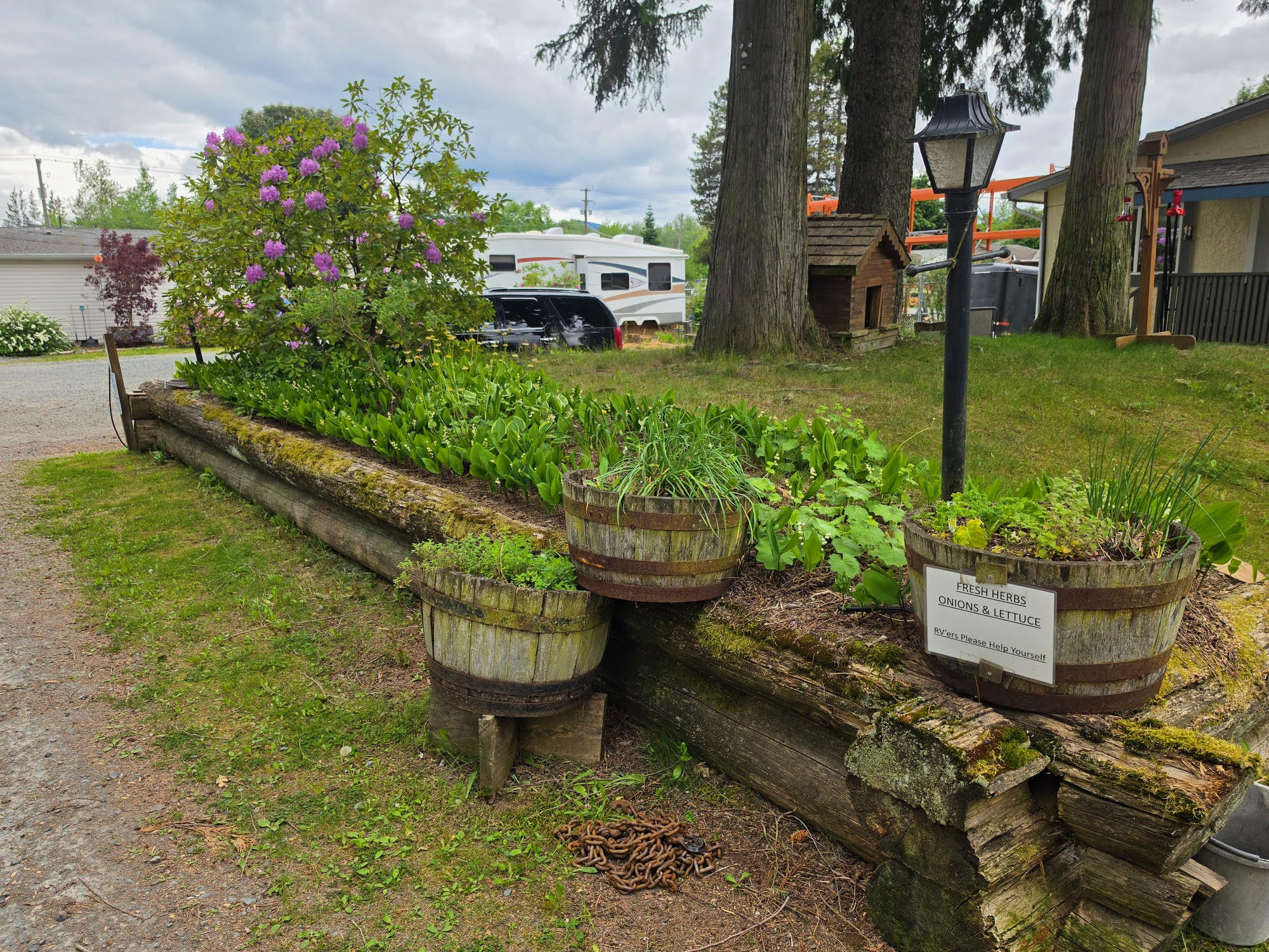 Exterior view — Wild Duck Motel grounds