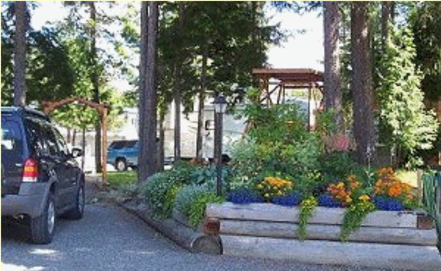 RV Park — treed RV area